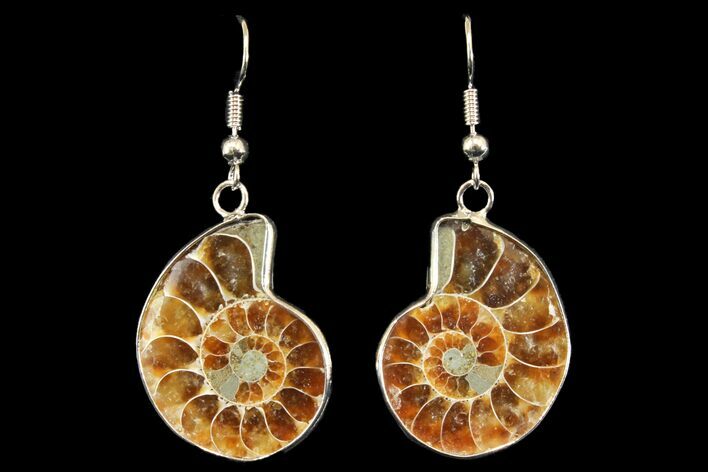 Fossil Ammonite Earrings - Million Years Old #142878